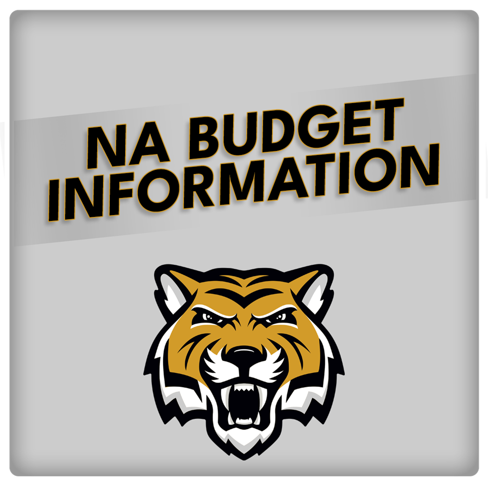 Budget Information