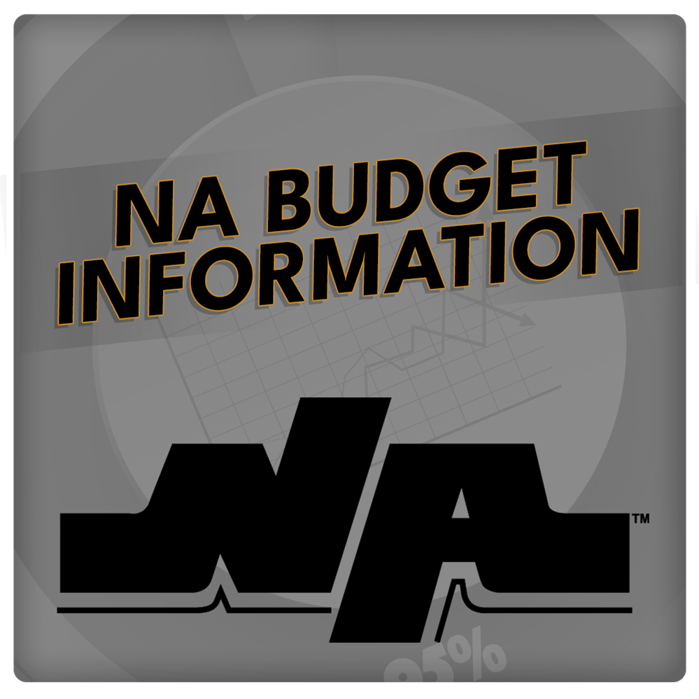  Budget Information