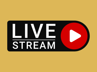 live stream